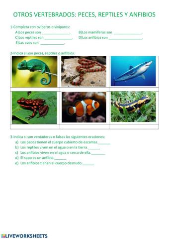 Peces, reptiles y anfibios