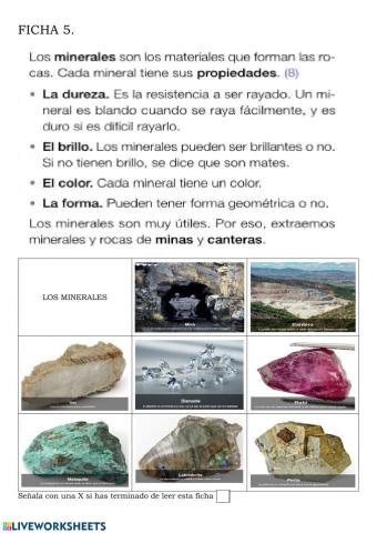 Teoría de diferentes tipos de minerales