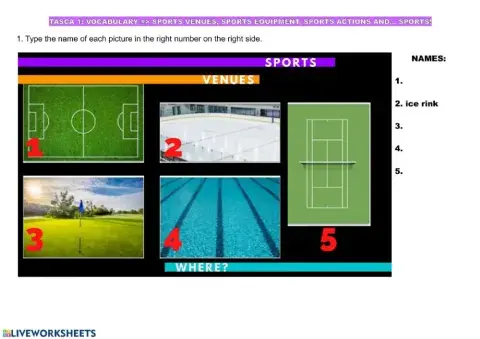 Sports, sports actions, sports equipment and sports venues