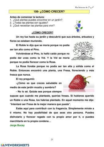 Comprensión lectora