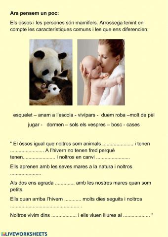 Activitats éssers vius.