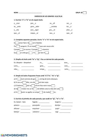Les grafies: x,ix,tx,ig