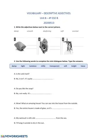 Vocabulary - Descriptive adjectives