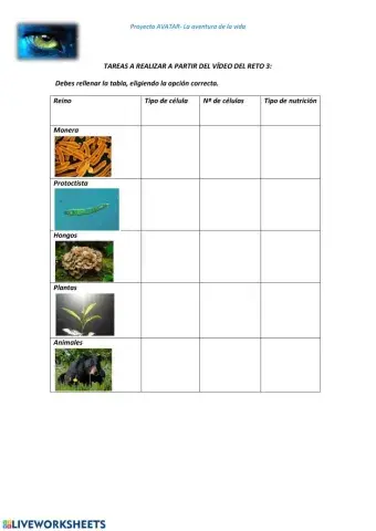 Los reinos de la naturaleza