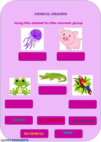 Animal groups