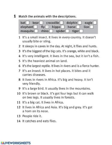 Reading about animals workbook