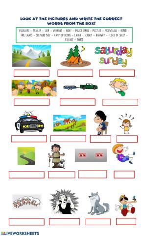 VOCABULARY Aunt Julie + The Boy who cried Wolf