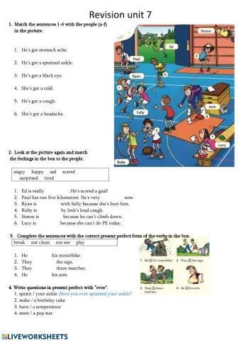 Revision u7 Steps Plus 6