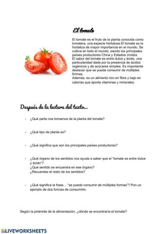 El tomate