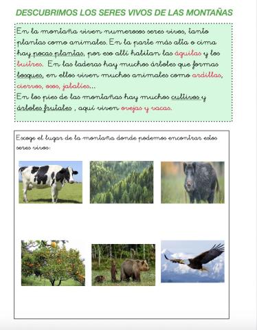 Seres vivos de la Montaña