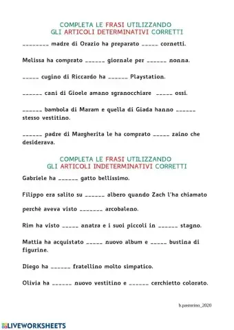 Completa le frasi (Articoli Determinativi e Indeterminativi)