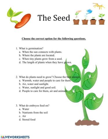 The Seed