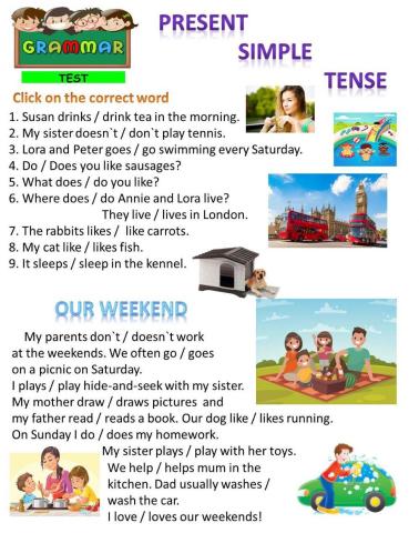 Present Simple Tense