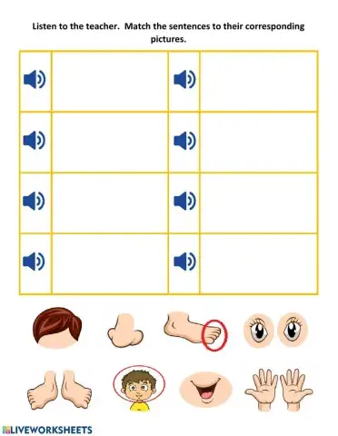 These are - This is - Body Parts