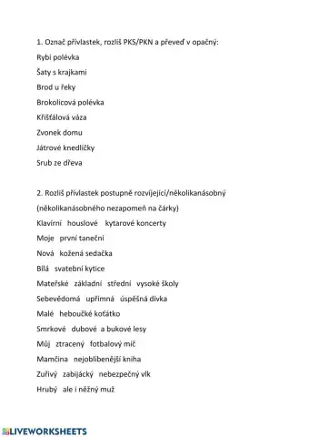 Přívlastky - typy (PKS-PKN-PR-N-těsný-volný)