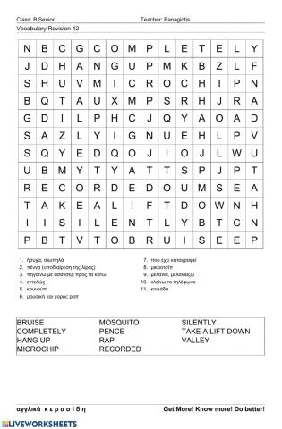 Bsenior Wordsearch 42