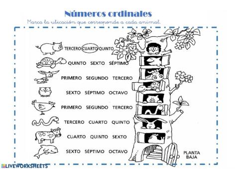 Números ordinales del 1 al 8