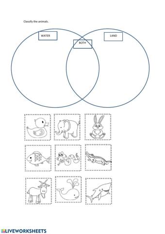 Where do animals live