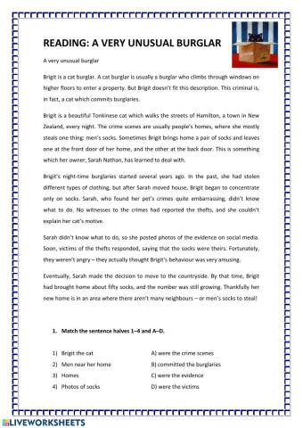 A very unusual burglar