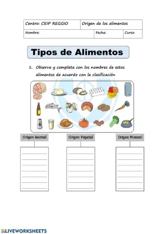 Origen de los alimentos 3º Primaria