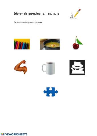 Dictat  S, SS, Z, C i Ç