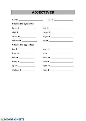 Test about opposites and synonymous