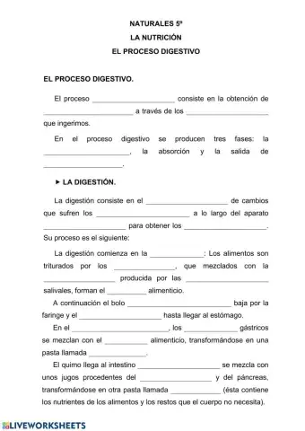 El proceso digestivo