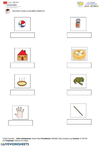 Elige la palabra correcta