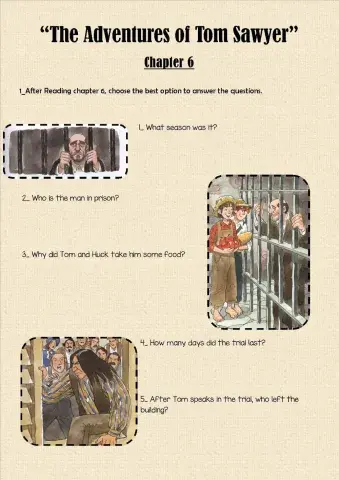 Tom Sawyer Chapter 6