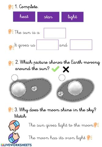 Prueba Social Science