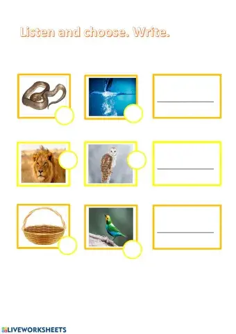 Alphabeth and vocabulary