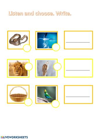 Alphabeth and vocabulary