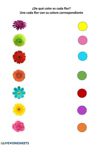 ¿De qué color es cada flor?
