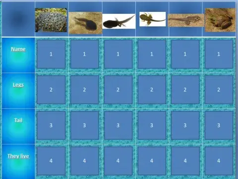 The life cycle of frogs