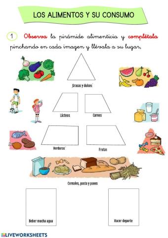Los alimentos y la pirámide alimenticia