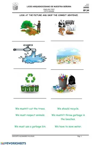 The environment exam