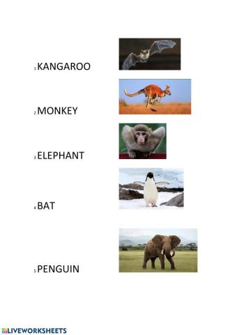 Monkey and Me worksheet