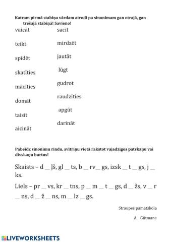 Sinonīmi. Ievieto patskani vai divskani.