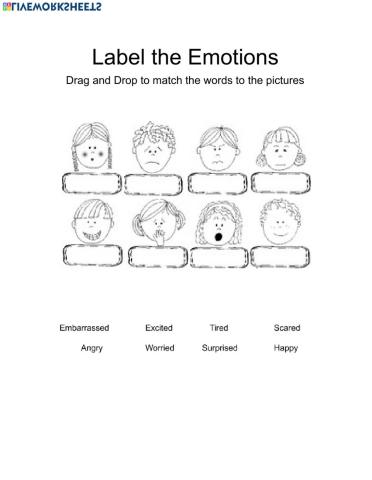 Label the Emotions