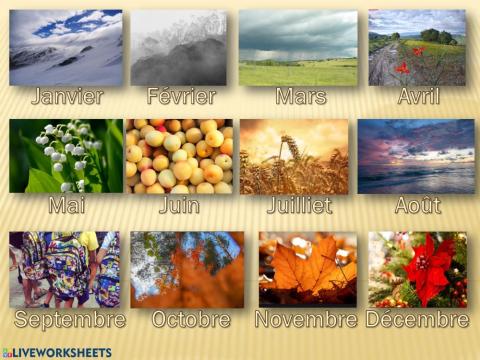 Les mois de l'anée