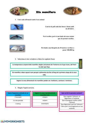 Els mamífers
