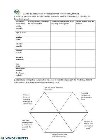 Clasa 10 Medii geografice
