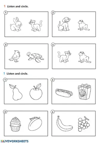 VERIFICA animali e cibi