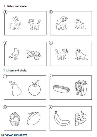 VERIFICA animali e cibi