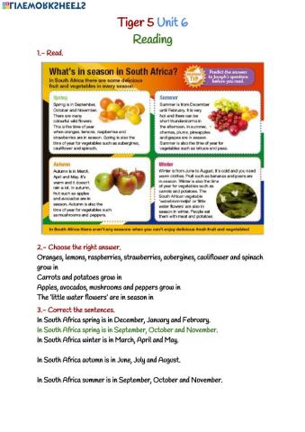 Tiger 5 Unit 6 Reading