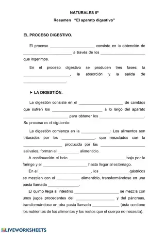 El proceso digestivo