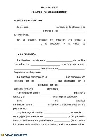 El proceso digestivo