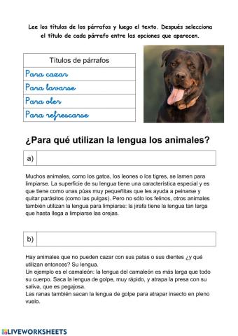 ¿Por qué los animales sacan la lengua?