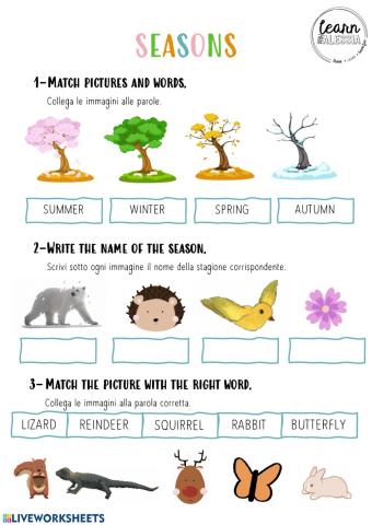 The seasons
