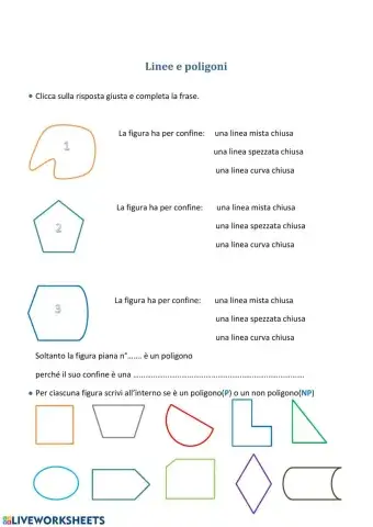 Linee e poligoni